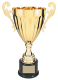 Classic Cup - AwardsPlusGI