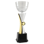 Gold Star Cup - AwardsPlusGI