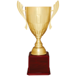 Giant Cup - AwardsPlusGI