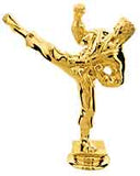 TR6M11M - AwardsPlusGI