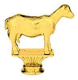 TR6M11M - AwardsPlusGI