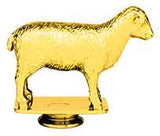 TR6M11M - AwardsPlusGI