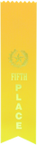 Flat Ribbon - AwardsPlusGI