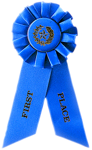 Rosette Award Ribbon - AwardsPlusGI