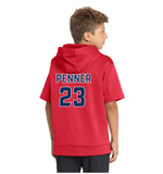 Sport-Tek® Youth & ADULT Sport-Wick® Fleece Short Sleeve Hooded Pullover - AwardsPlusGI