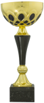Color Accent Cup - AwardsPlusGI
