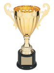 Classic Cup - AwardsPlusGI