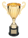 Classic Cup - AwardsPlusGI