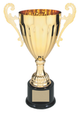 Classic Cup - AwardsPlusGI