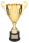 Classic Cup - AwardsPlusGI