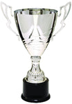 Wave Cup - AwardsPlusGI