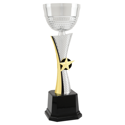 Gold Star Cup - AwardsPlusGI
