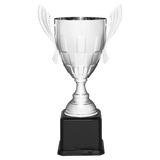 Giant Cup - AwardsPlusGI