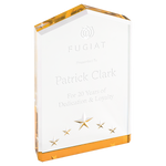 Star Point - AwardsPlusGI