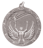 Shooting Star Medal - Small - AwardsPlusGI