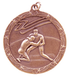 Shooting Star Medal - Small - AwardsPlusGI