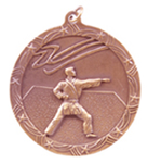 Shooting Star Medal - Small - AwardsPlusGI