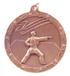 Shooting Star Medal - Small - AwardsPlusGI