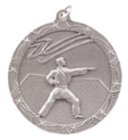 Shooting Star Medal - Large - AwardsPlusGI